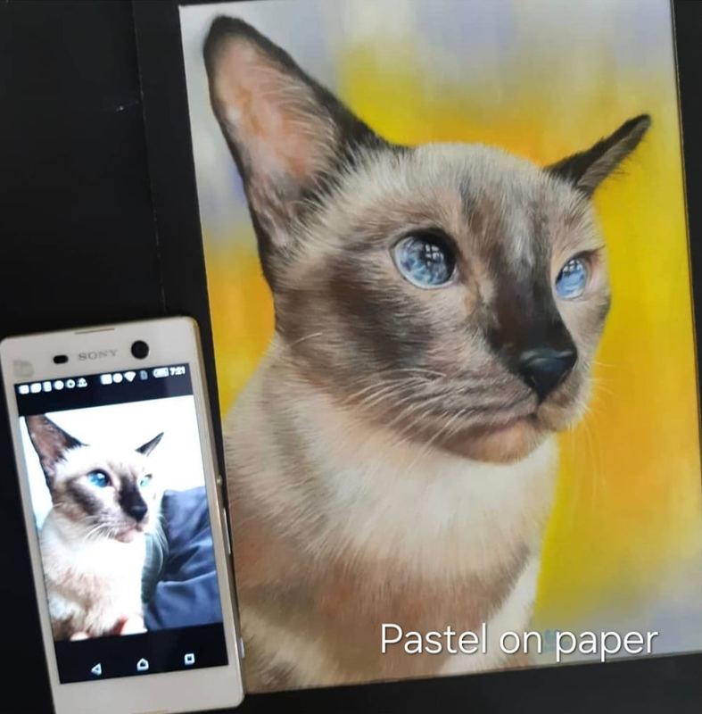 Pastel portrait of a siamese cat beside its reference photo