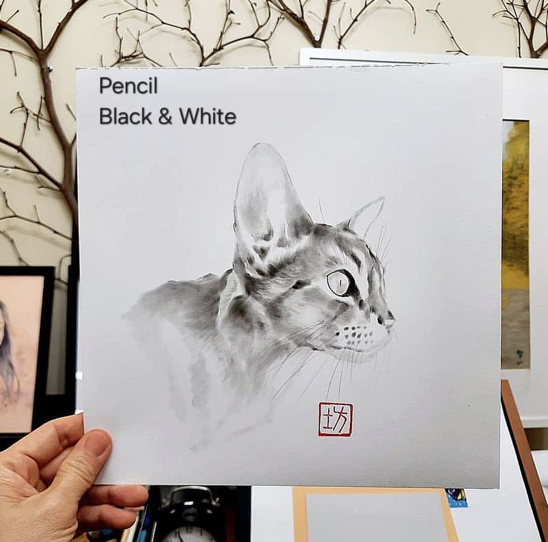 Black and white pencil portrait of a cat