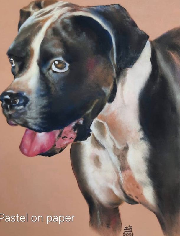 Pastel portrait of a boxer