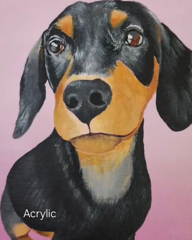 Acrylic portrait of a dachshund
