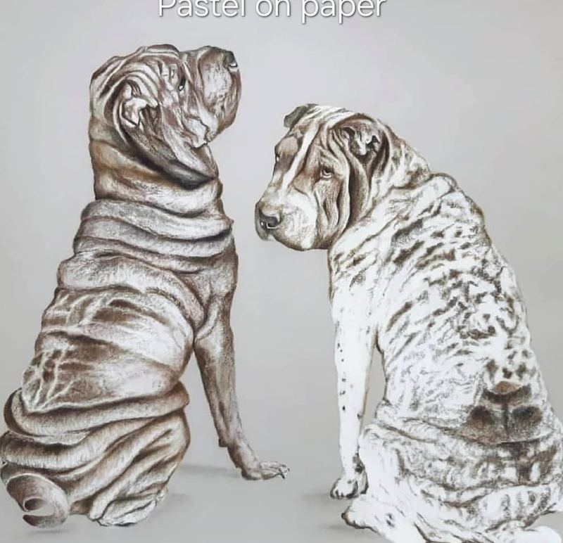 Pastel portrait of two shar-peis