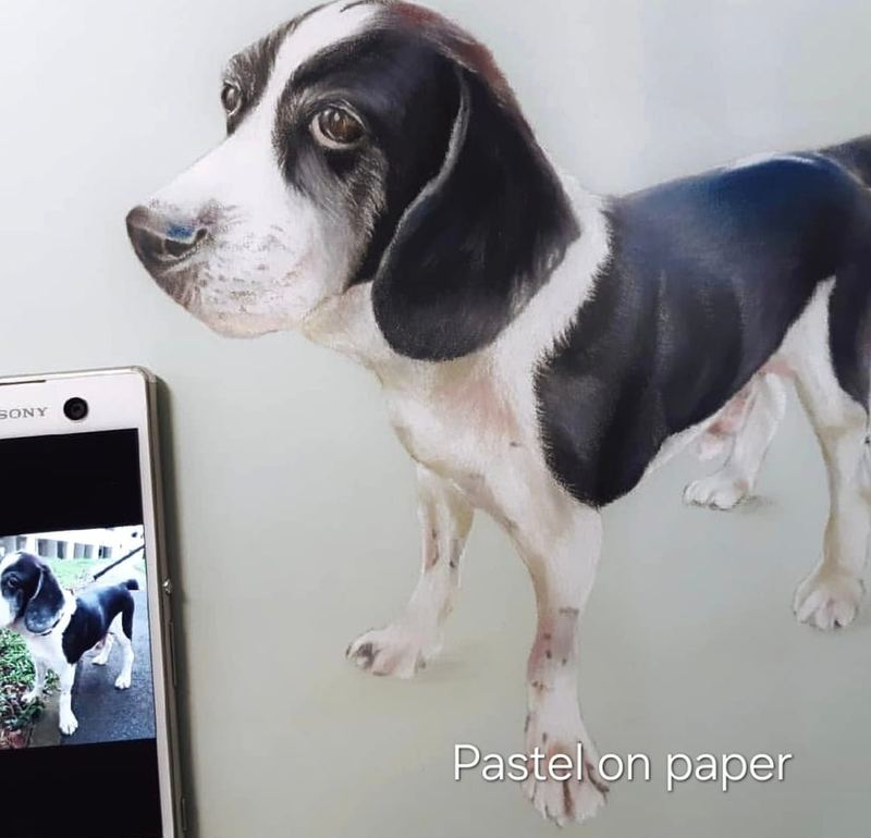 Pastel portrait of a beagle