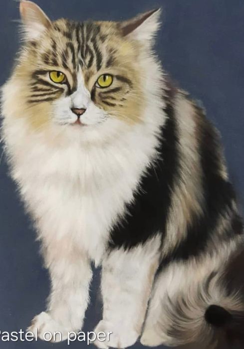 Pastel portrait of a long haired cat