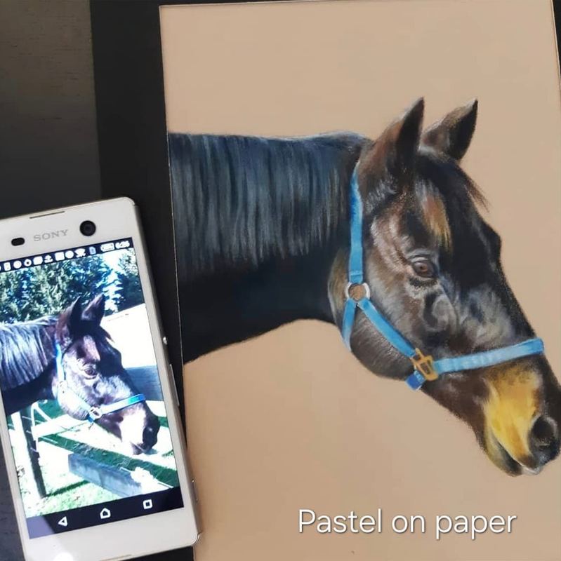 Pastel portrait of a bay horse beside its reference photo