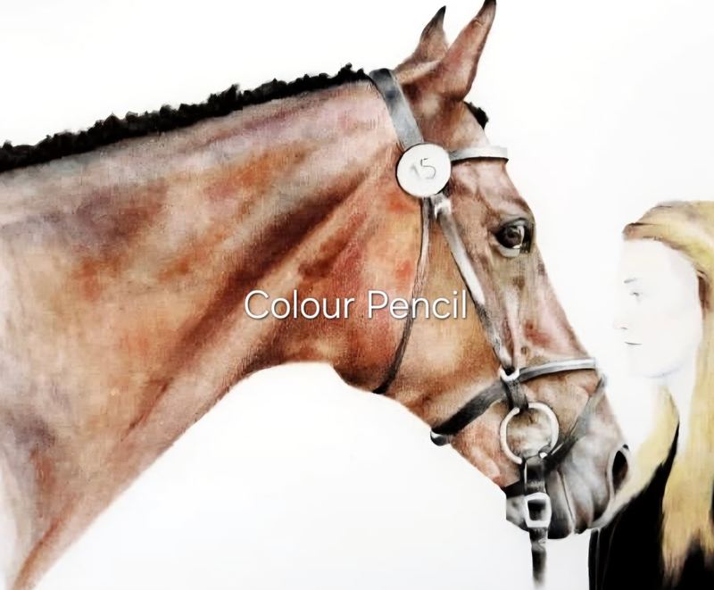 Colour pencil portrait of a horse