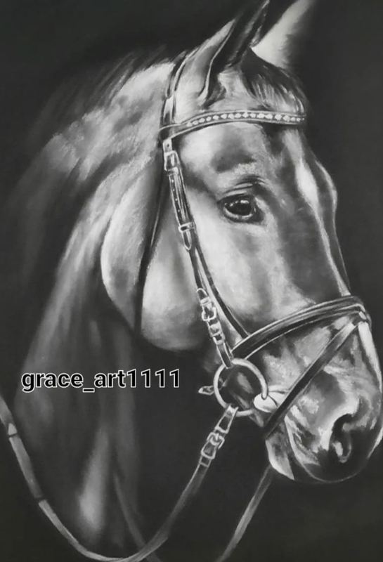 Charcoal style portrait of a horse