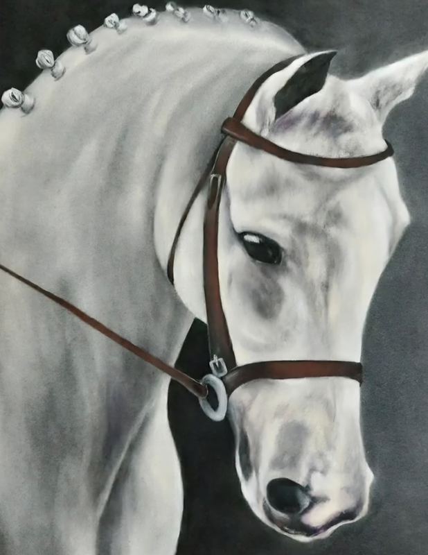 Portrait of a grey horse