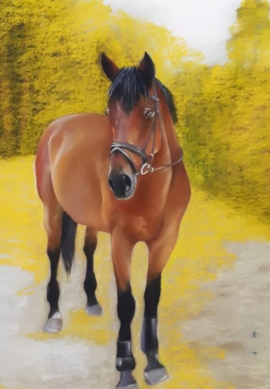 Framed pastel portrait of a horse