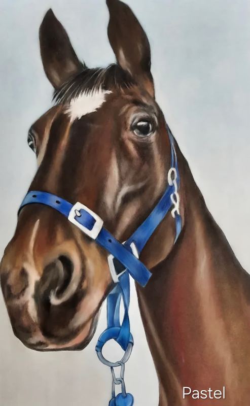 Pastel portrait of a brown horse