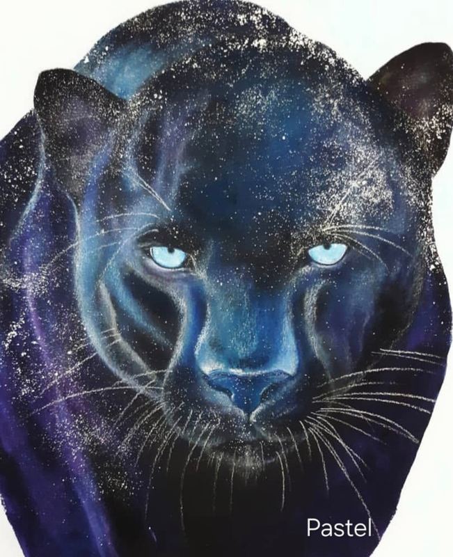 Pastel portrait of a black panther