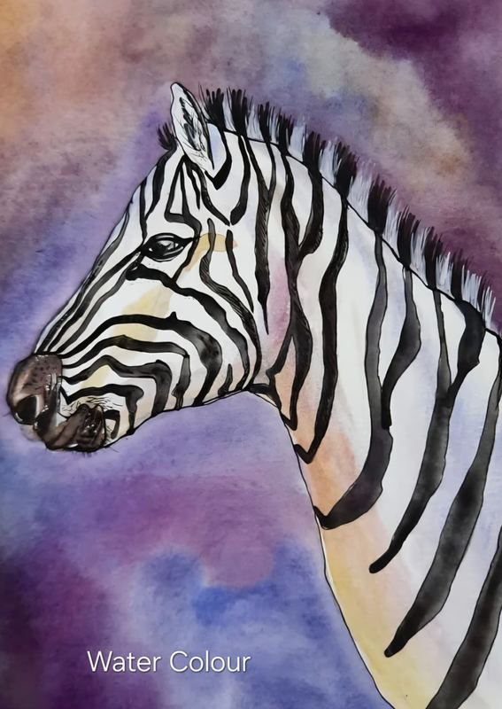 Watercolour portrait of a zebra